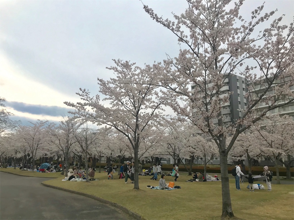 f:id:chobi_chobi:20190415124210j:image