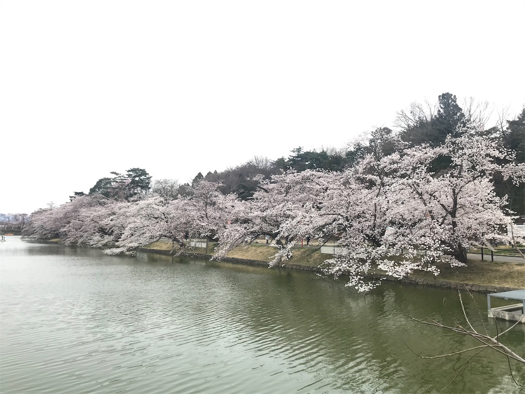 f:id:chobi_chobi:20190415124233j:image