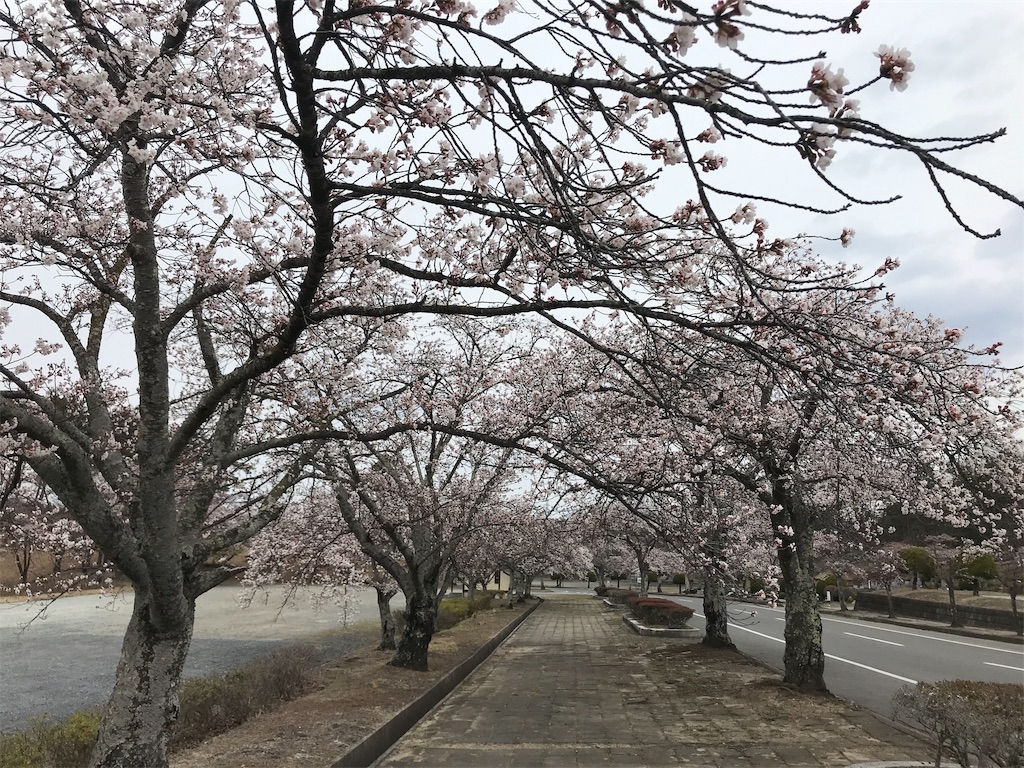 f:id:chobi_chobi:20190415124305j:image