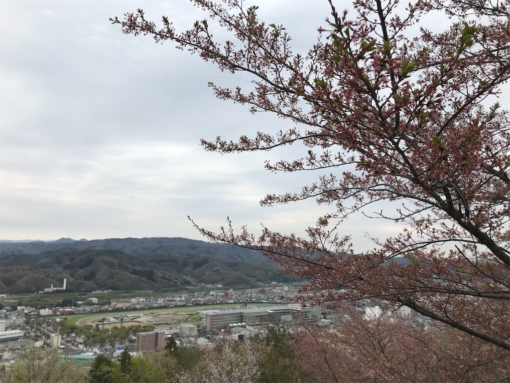 f:id:chobi_chobi:20190421151644j:image f:id:chobi_chobi:20190421151644j:image