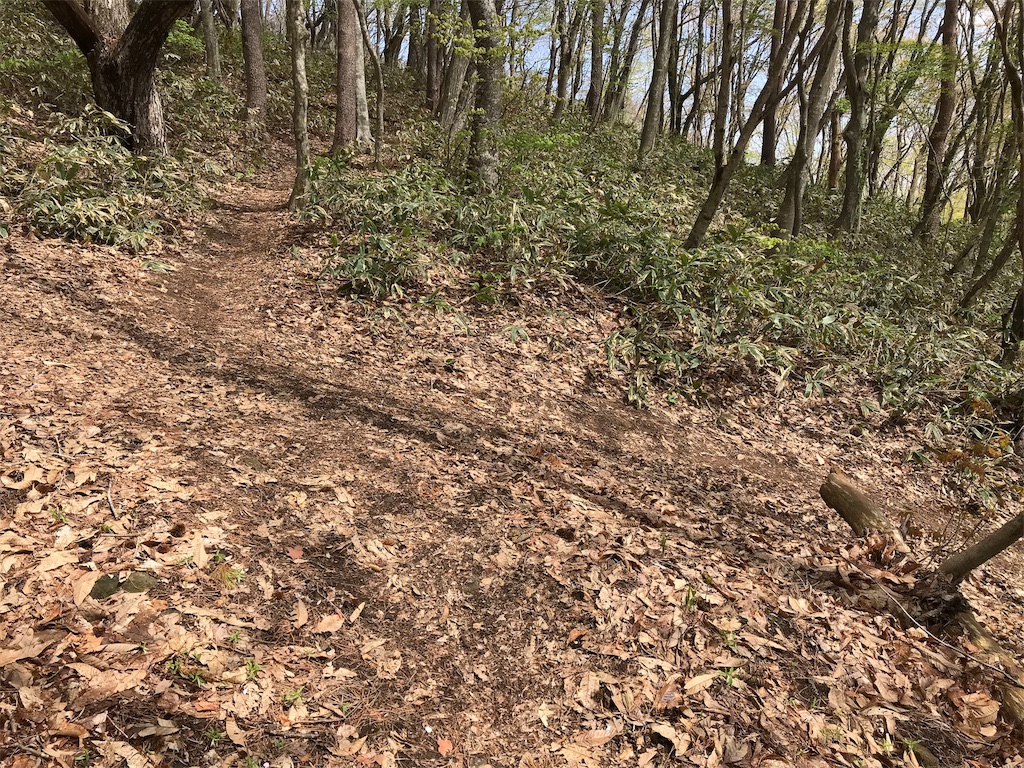 f:id:chobi_chobi:20190502161513j:image f:id:chobi_chobi:20190502161513j:image