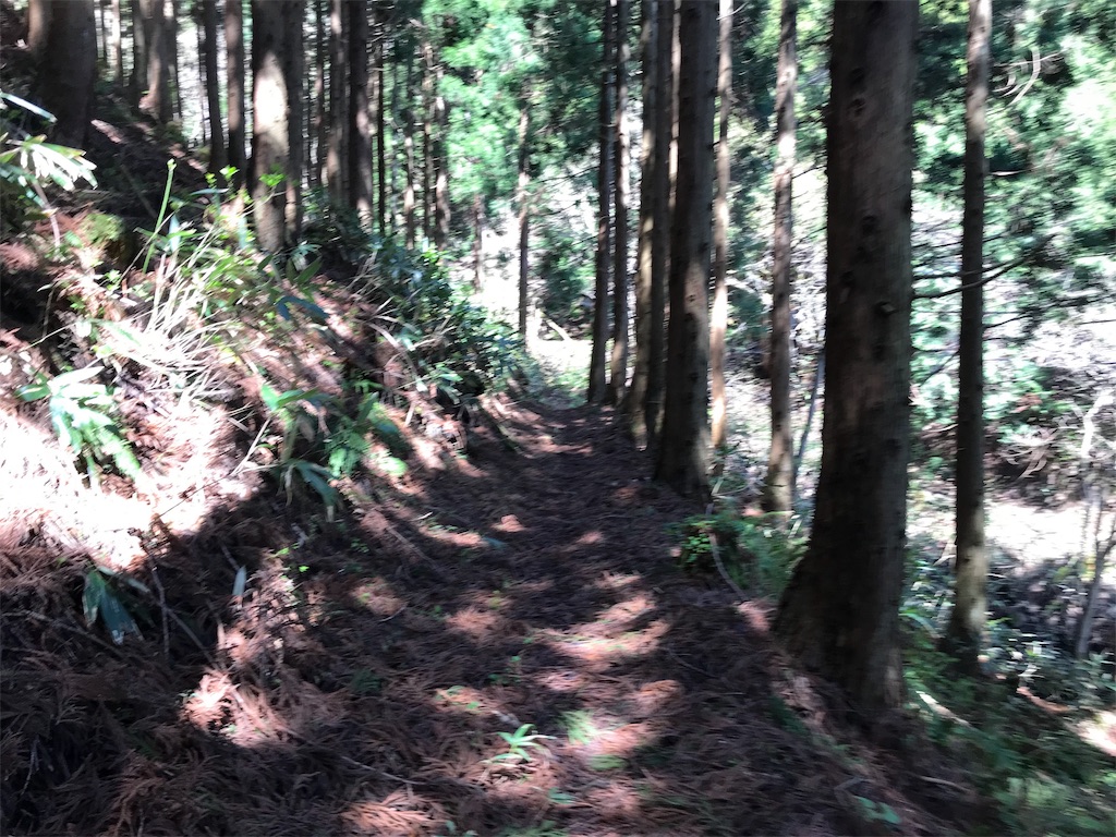 f:id:chobi_chobi:20190502161525j:image f:id:chobi_chobi:20190502161525j:image