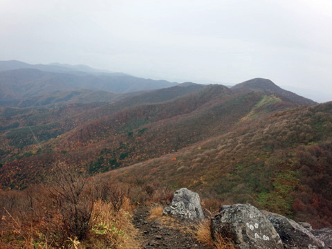 f:id:chobi_chobi:20190502214006j:plain f:id:chobi_chobi:20190502214006j:plain