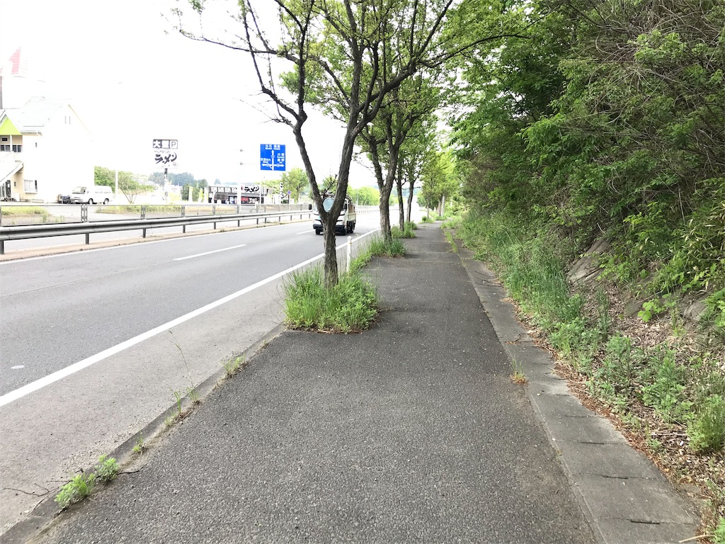 f:id:chobi_chobi:20190519140036j:image