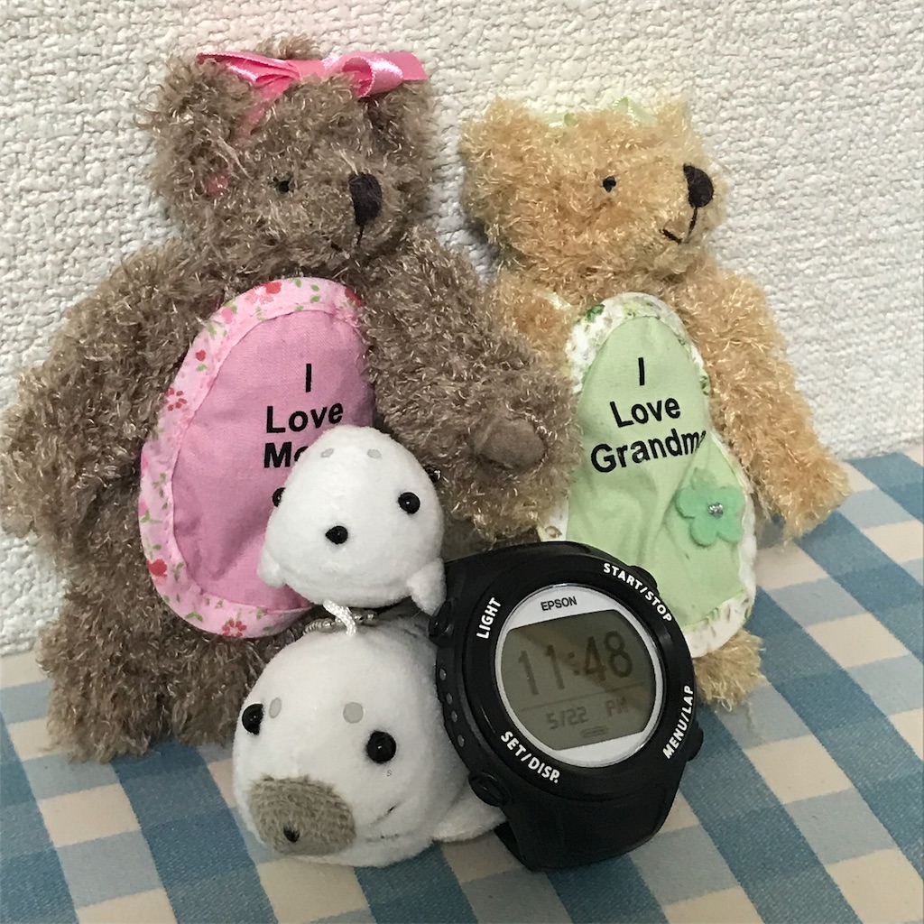 f:id:chobi_chobi:20190522234902j:image