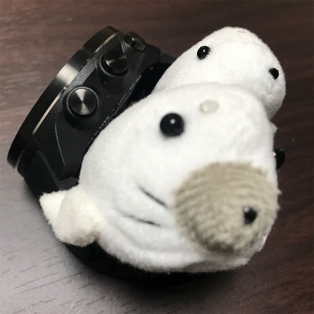 f:id:chobi_chobi:20190527223405j:image f:id:chobi_chobi:20190527223405j:image