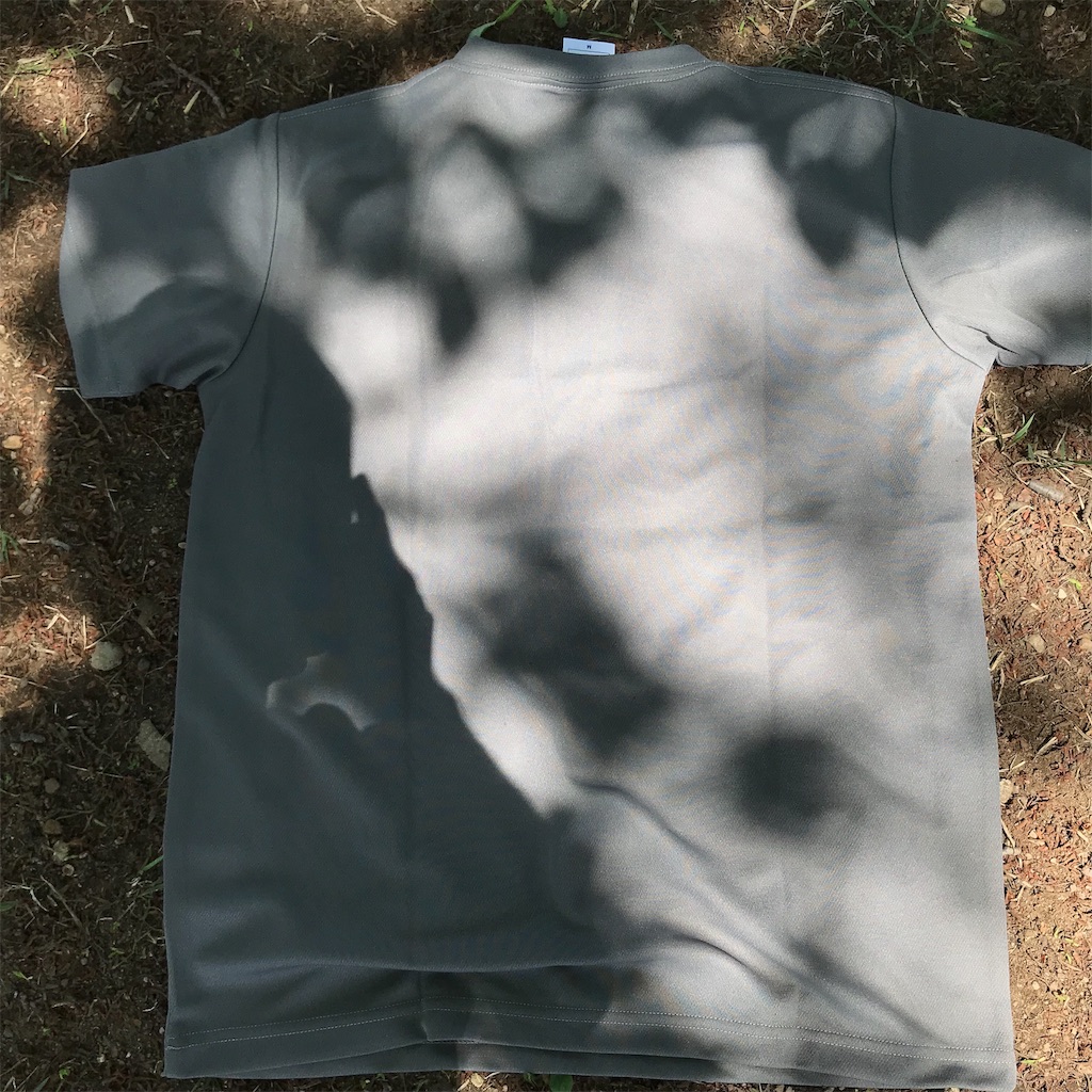 f:id:chobi_chobi:20190605154532j:image f:id:chobi_chobi:20190605154532j:image