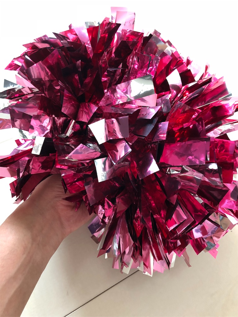 f:id:chobi_chobi:20190606214229j:plain f:id:chobi_chobi:20190606214229j:plain