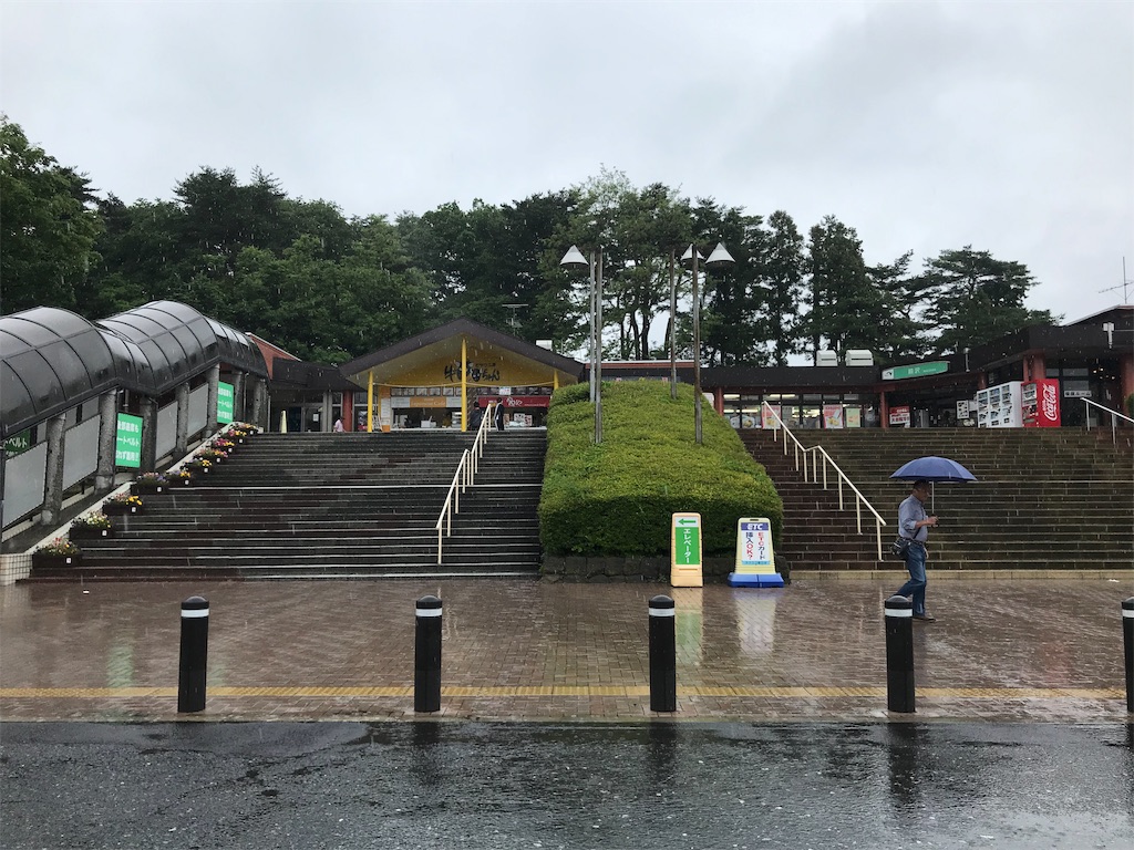 f:id:chobi_chobi:20190610124845j:image