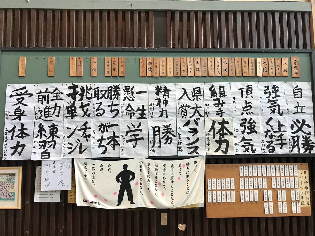 f:id:chobi_chobi:20190610125433j:image