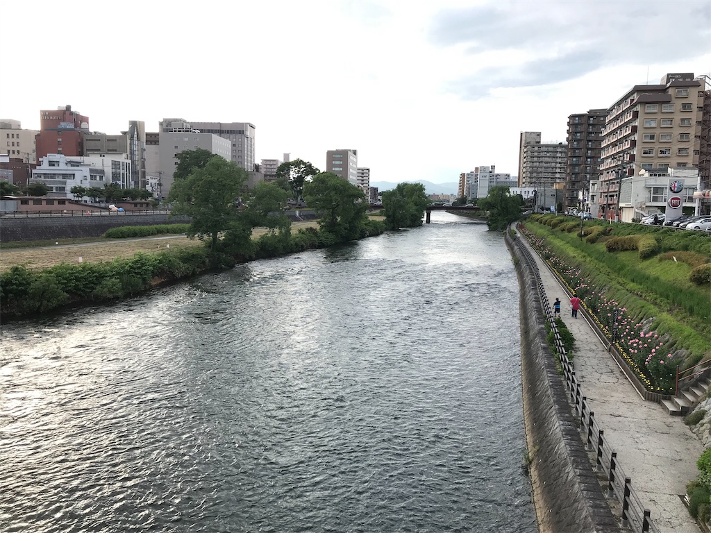 f:id:chobi_chobi:20190610144723j:image