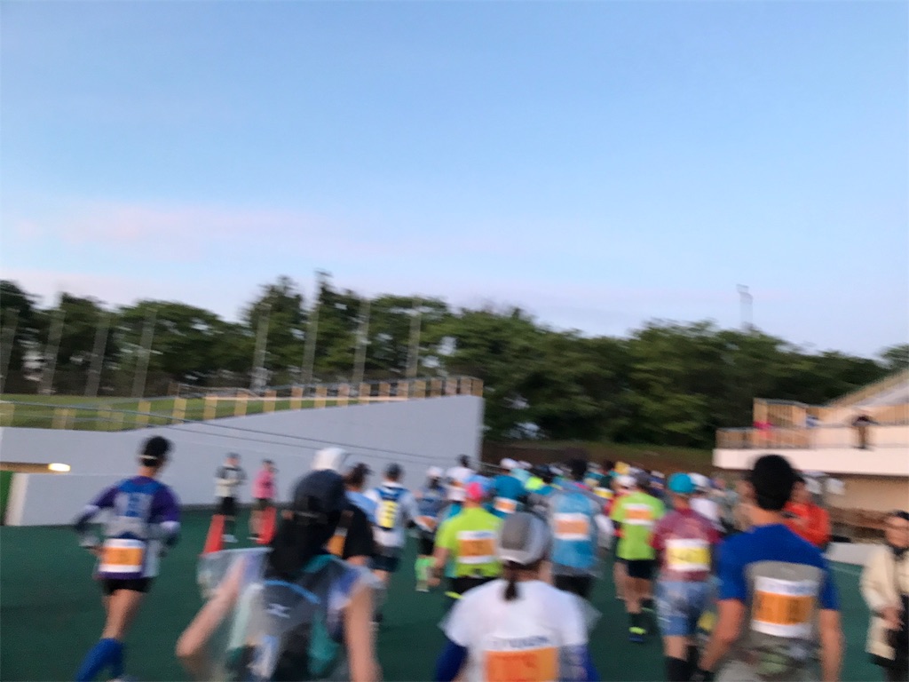f:id:chobi_chobi:20190610145335j:image f:id:chobi_chobi:20190610145335j:image