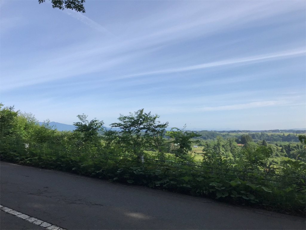 f:id:chobi_chobi:20190610145716j:image f:id:chobi_chobi:20190610145716j:image