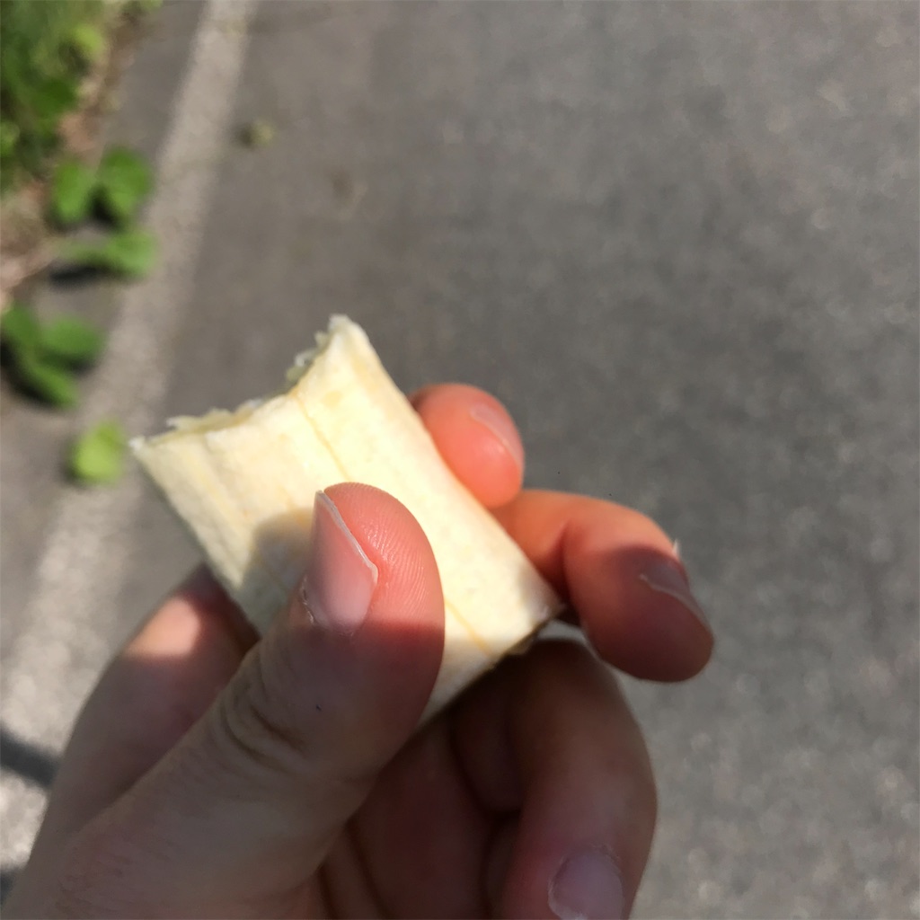 f:id:chobi_chobi:20190610145827j:image f:id:chobi_chobi:20190610145827j:image