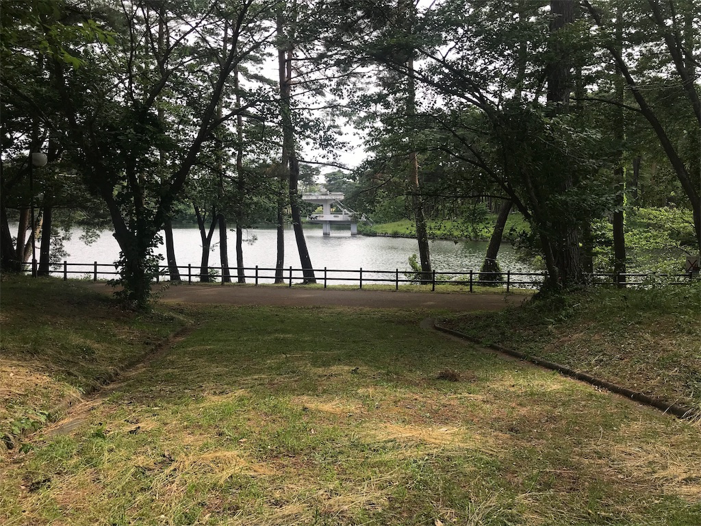 f:id:chobi_chobi:20190610150731j:image