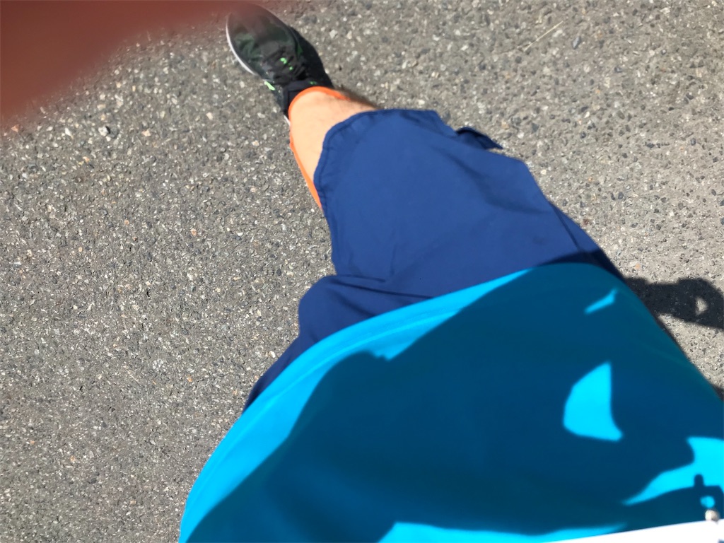f:id:chobi_chobi:20190612111400j:image