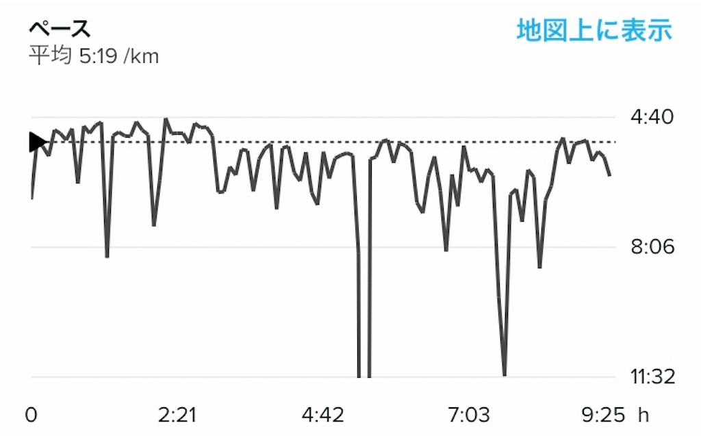 f:id:chobi_chobi:20190612142937j:image