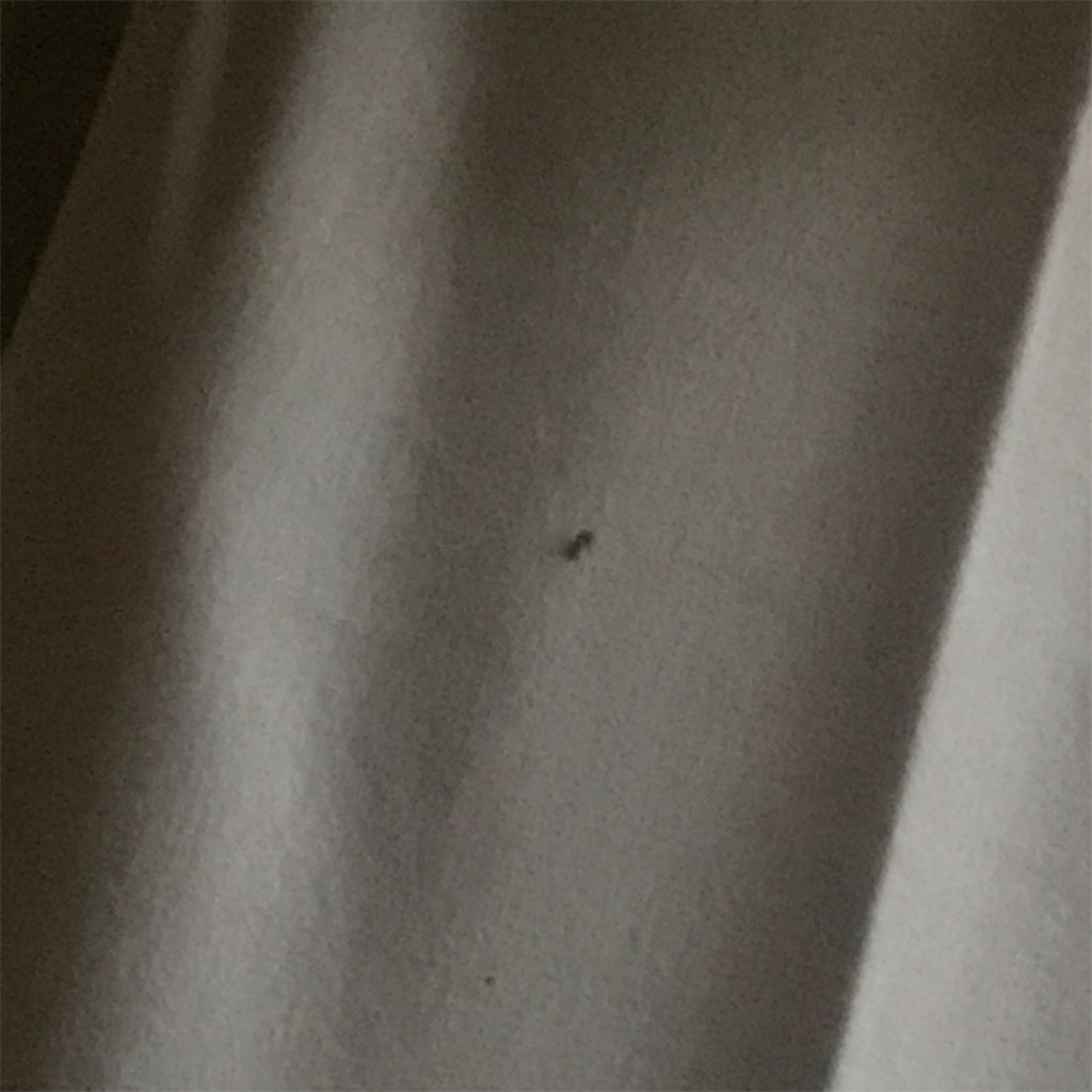 f:id:chobi_chobi:20190727212455j:image f:id:chobi_chobi:20190727212455j:image