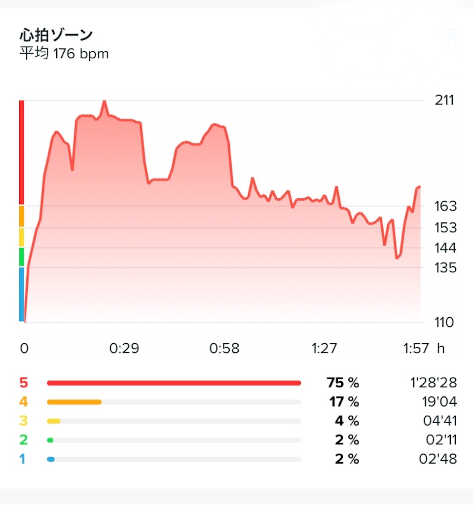 f:id:chobi_chobi:20190730011125j:image f:id:chobi_chobi:20190730011125j:image