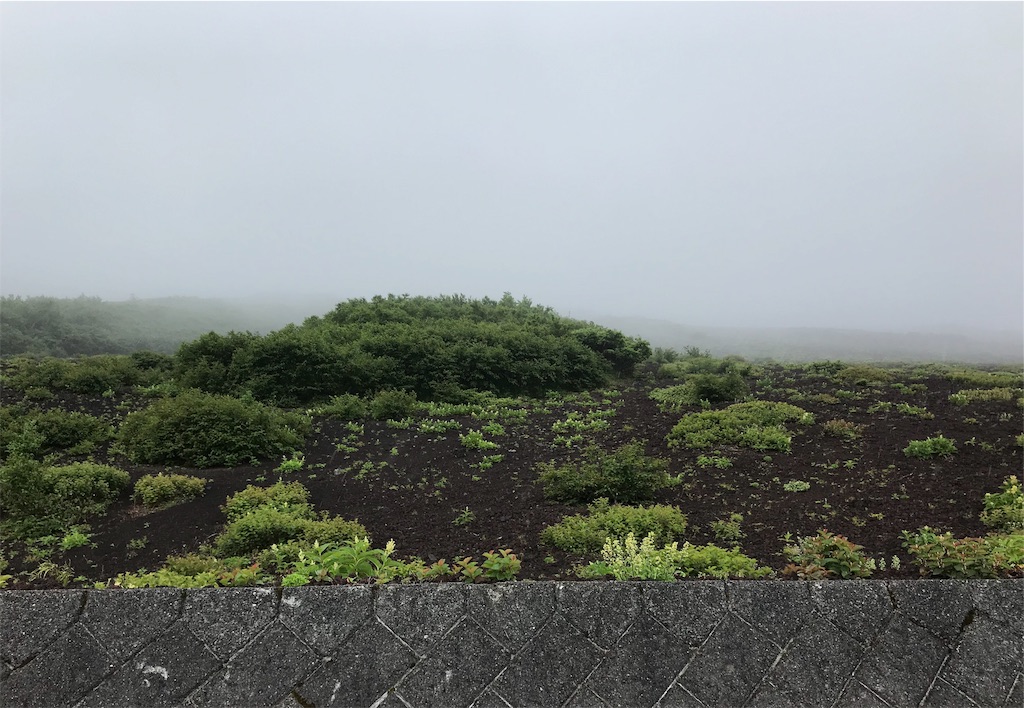 f:id:chobi_chobi:20190730012230j:image