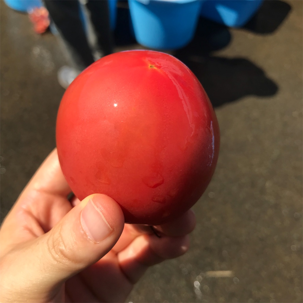 f:id:chobi_chobi:20190803200642j:plain f:id:chobi_chobi:20190803200642j:plain