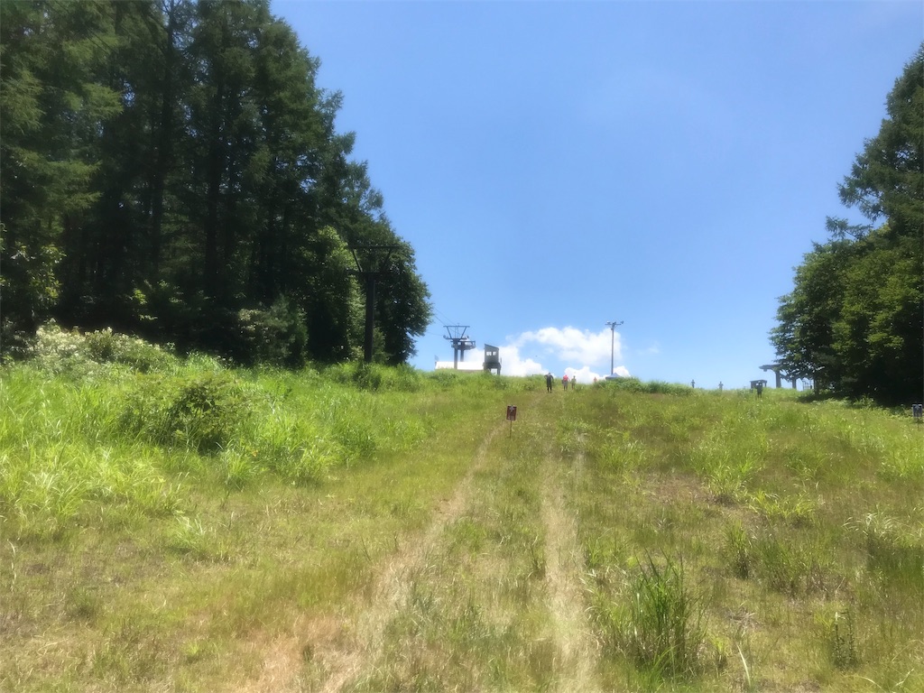 f:id:chobi_chobi:20190803204307j:image f:id:chobi_chobi:20190803204307j:image