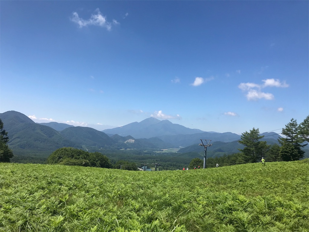f:id:chobi_chobi:20190803204407j:image f:id:chobi_chobi:20190803204407j:image