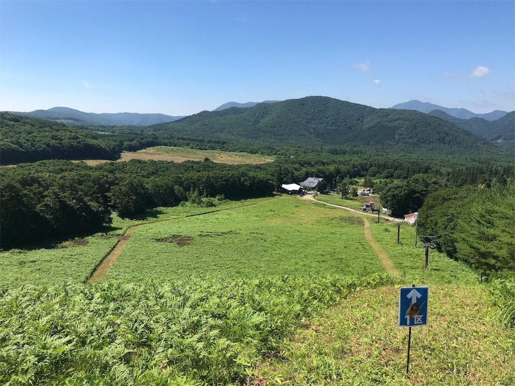 f:id:chobi_chobi:20190803204412j:image f:id:chobi_chobi:20190803204412j:image