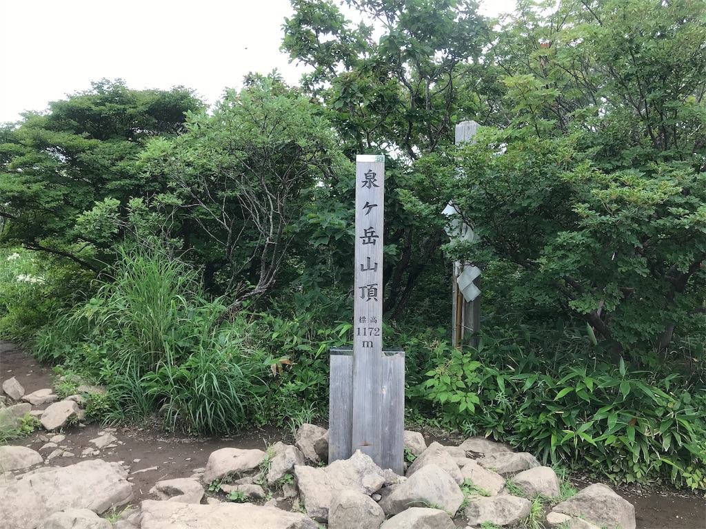 f:id:chobi_chobi:20190813121709j:image f:id:chobi_chobi:20190813121709j:image