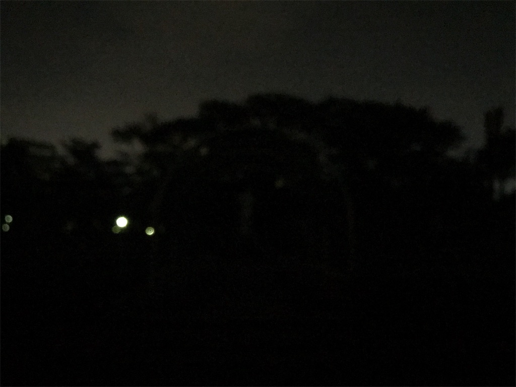 f:id:chobi_chobi:20190825210437j:image f:id:chobi_chobi:20190825210437j:image