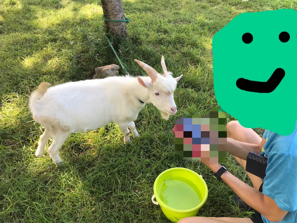 f:id:chobi_chobi:20190902125519j:image f:id:chobi_chobi:20190902125519j:image