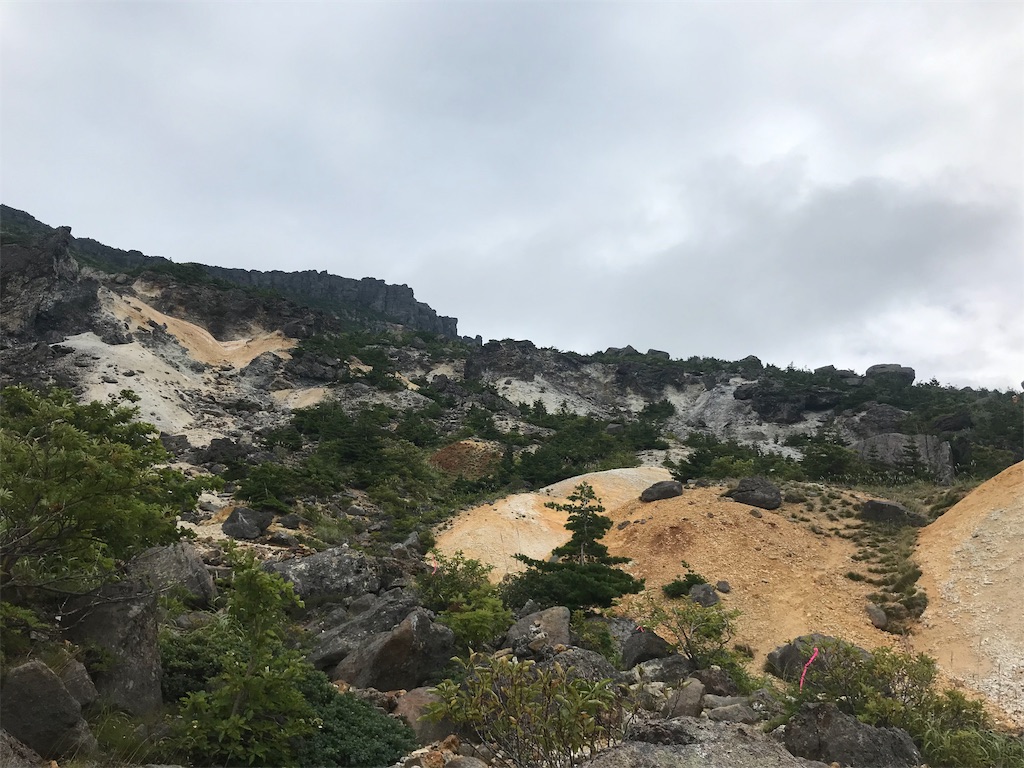 f:id:chobi_chobi:20190902191321j:image