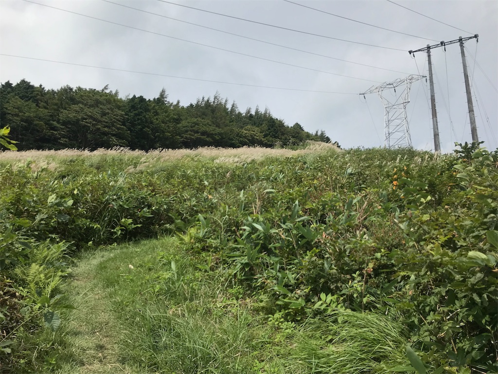 f:id:chobi_chobi:20190902191453j:image