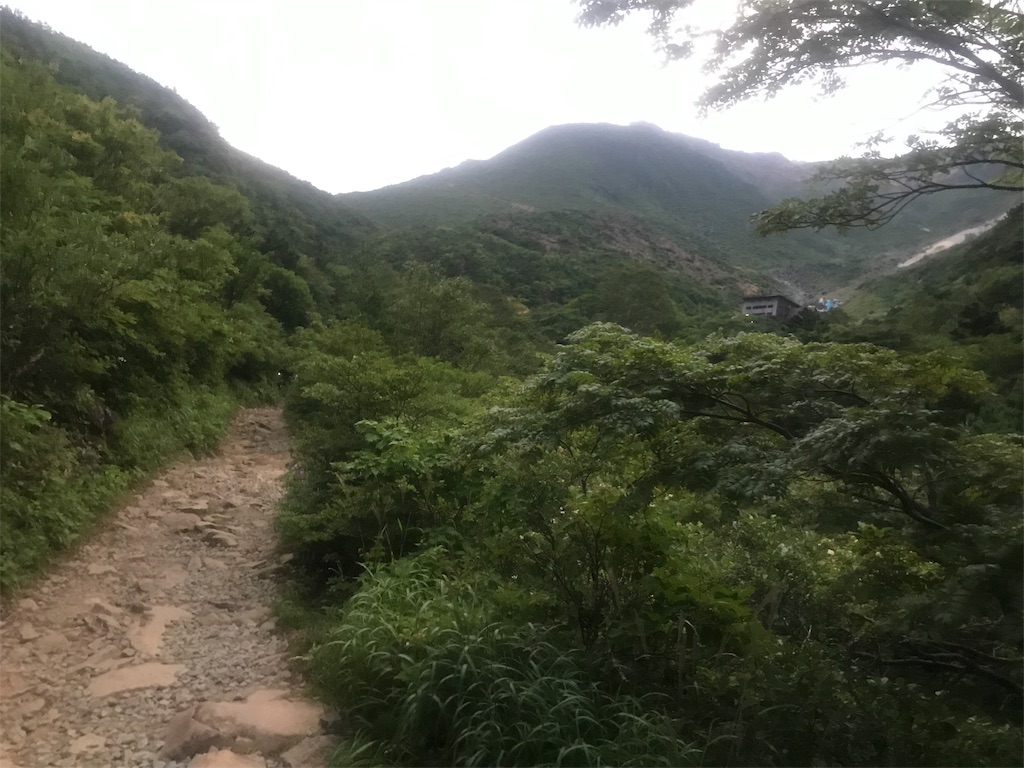 f:id:chobi_chobi:20190902191510j:image