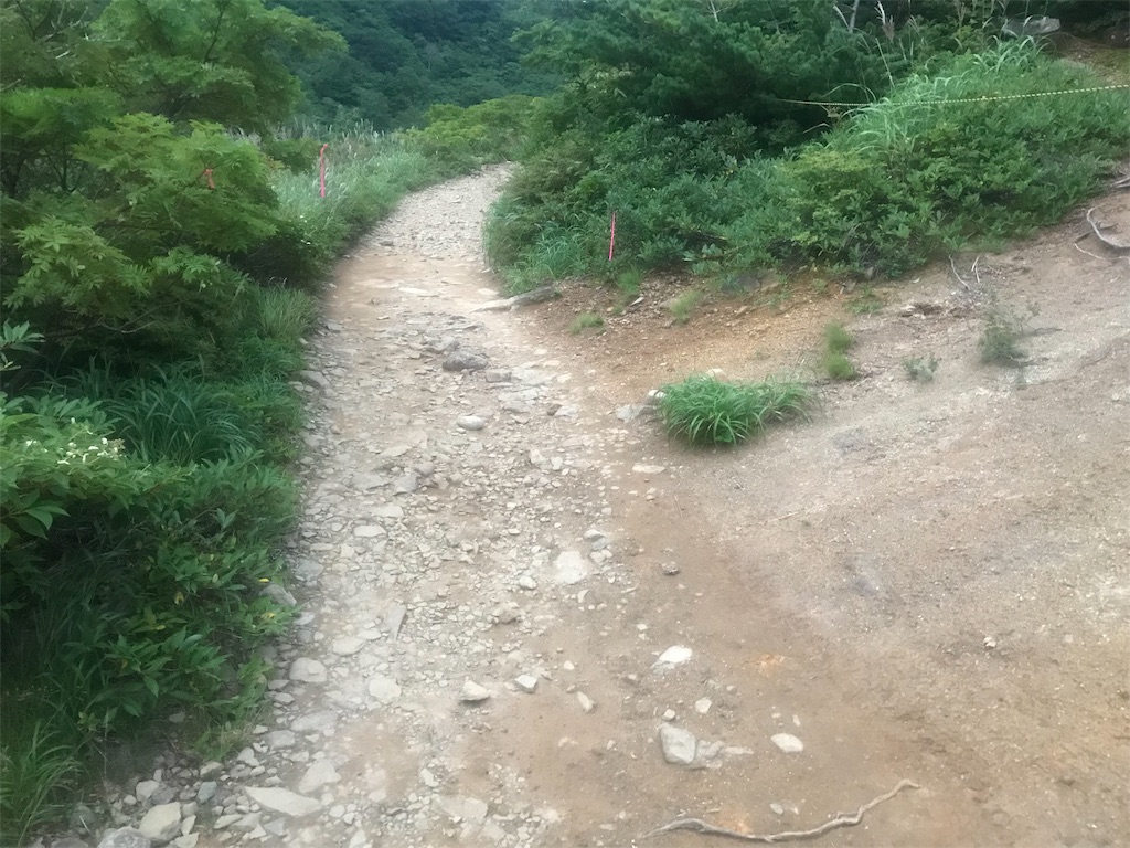 f:id:chobi_chobi:20190902191612j:image