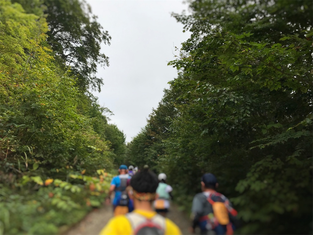 f:id:chobi_chobi:20190923212848j:image