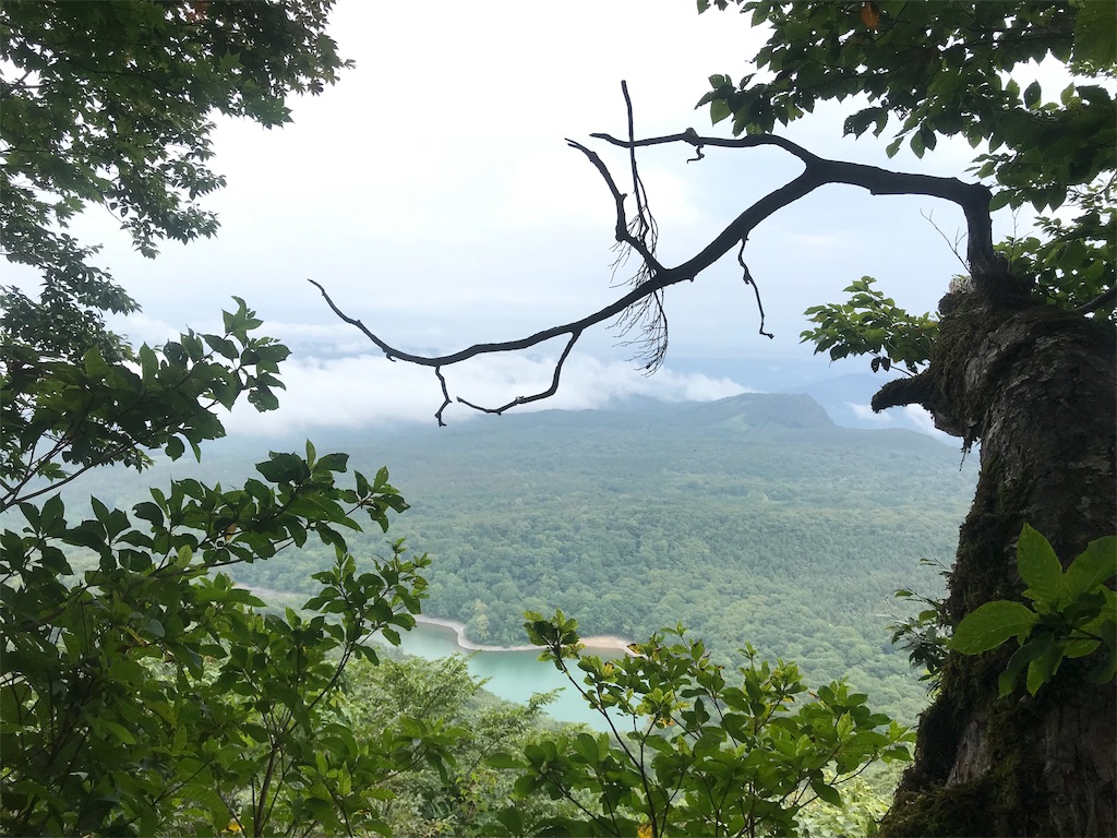f:id:chobi_chobi:20190923212905j:image