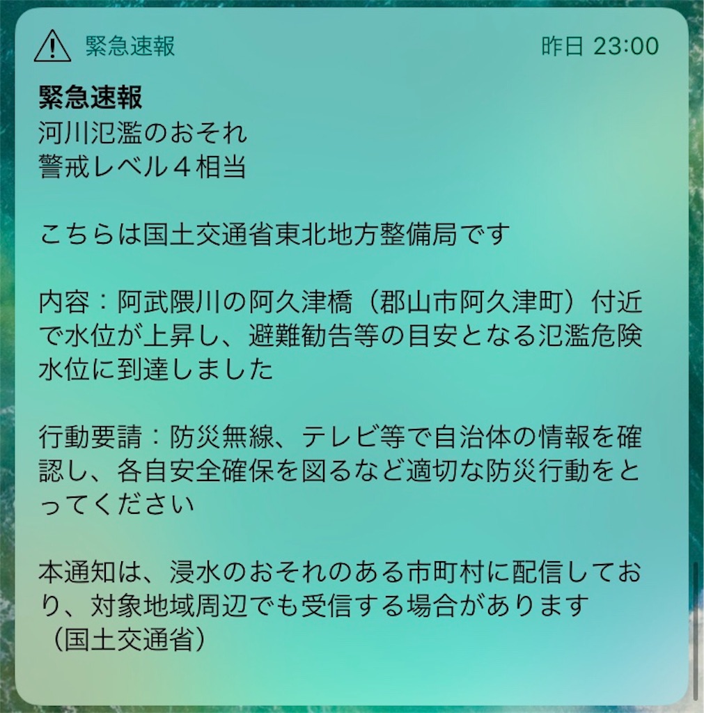 f:id:chobi_chobi:20191013181436j:image f:id:chobi_chobi:20191013181436j:image
