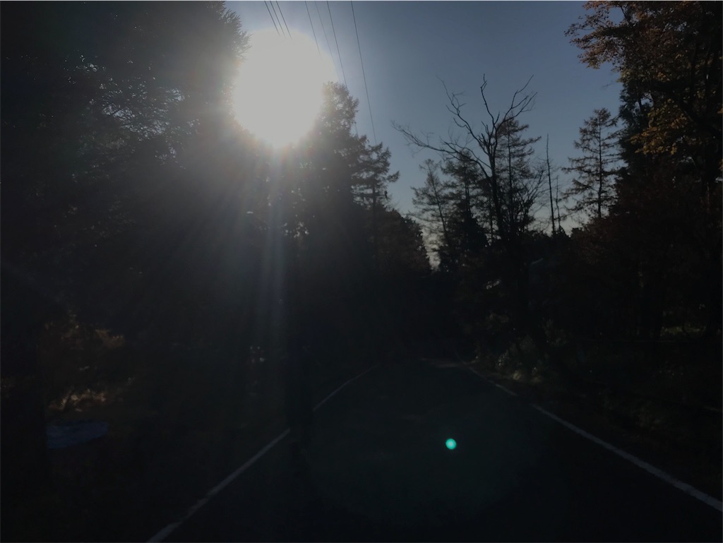 f:id:chobi_chobi:20191111175234j:image f:id:chobi_chobi:20191111175234j:image