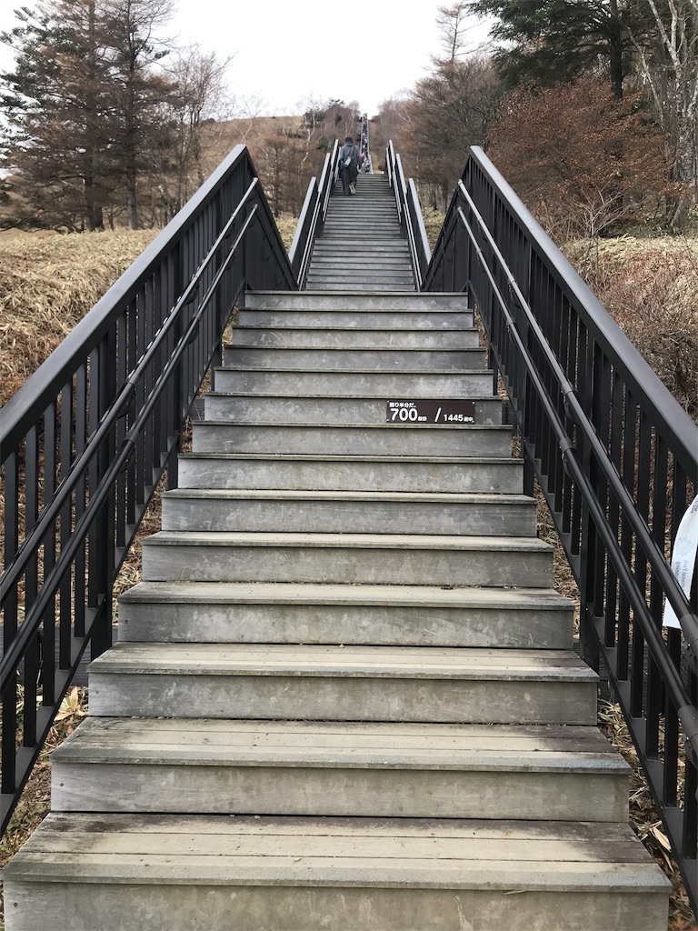 f:id:chobi_chobi:20191111204609j:image f:id:chobi_chobi:20191111204609j:image