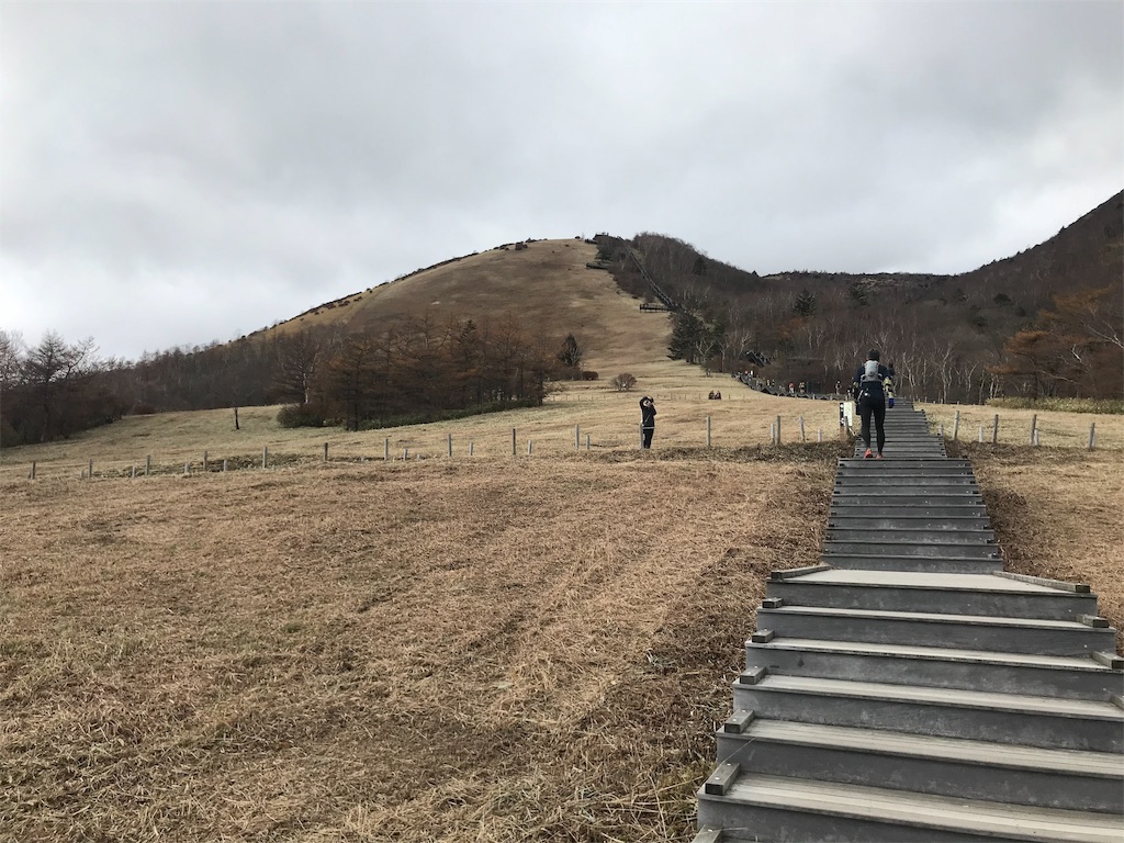 f:id:chobi_chobi:20191111204841j:image f:id:chobi_chobi:20191111204841j:image
