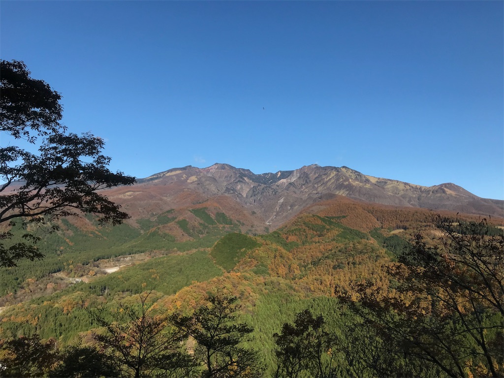 f:id:chobi_chobi:20191111204924j:image f:id:chobi_chobi:20191111204924j:image