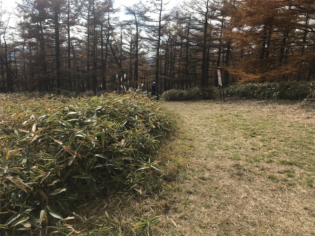 f:id:chobi_chobi:20191111204931j:image f:id:chobi_chobi:20191111204931j:image