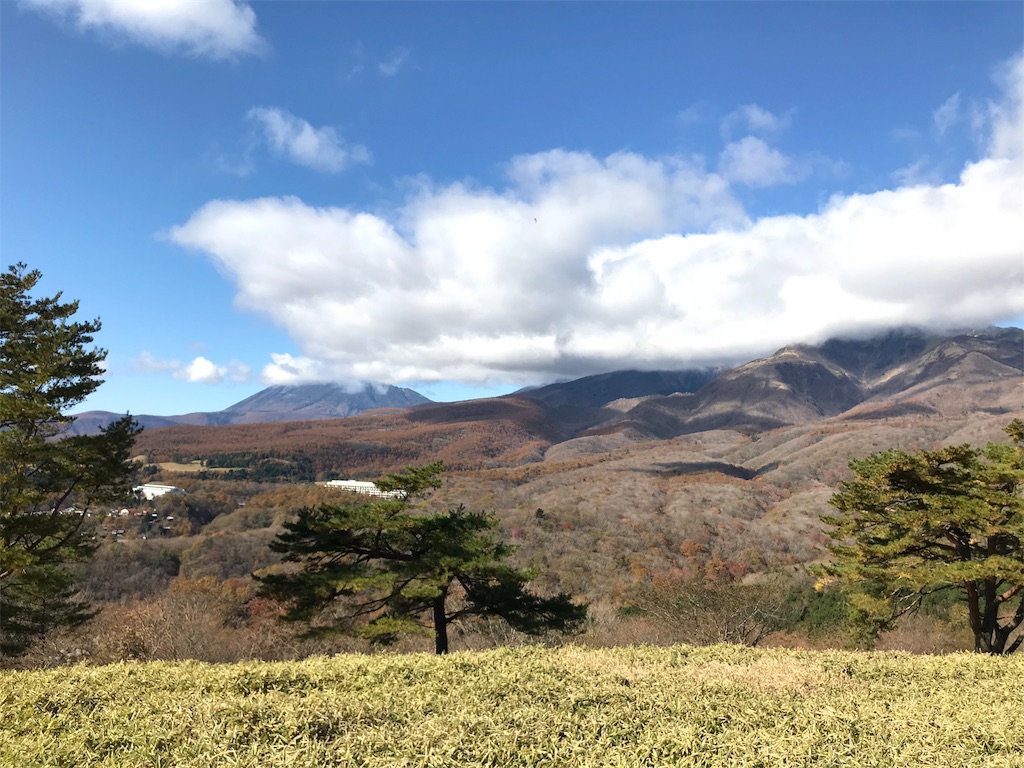 f:id:chobi_chobi:20191111205012j:image f:id:chobi_chobi:20191111205012j:image