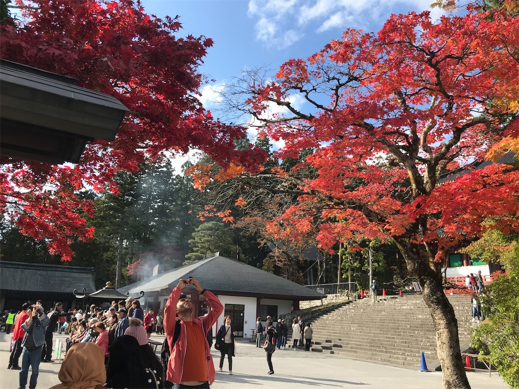 f:id:chobi_chobi:20191111210036j:image f:id:chobi_chobi:20191111210036j:image