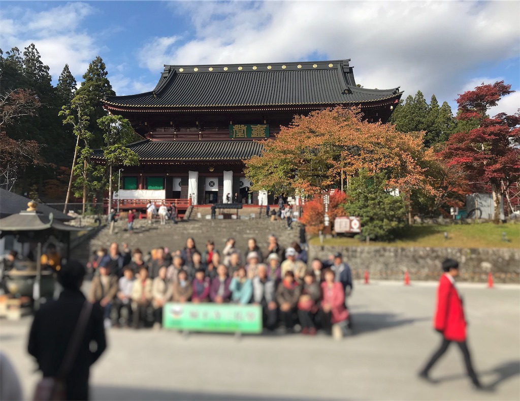 f:id:chobi_chobi:20191111210433j:image f:id:chobi_chobi:20191111210433j:image