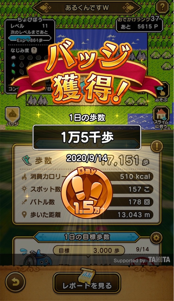 f:id:chobi_chobi:20200915000206j:image