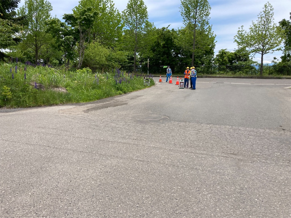 f:id:chobi_chobi:20220608111604j:image