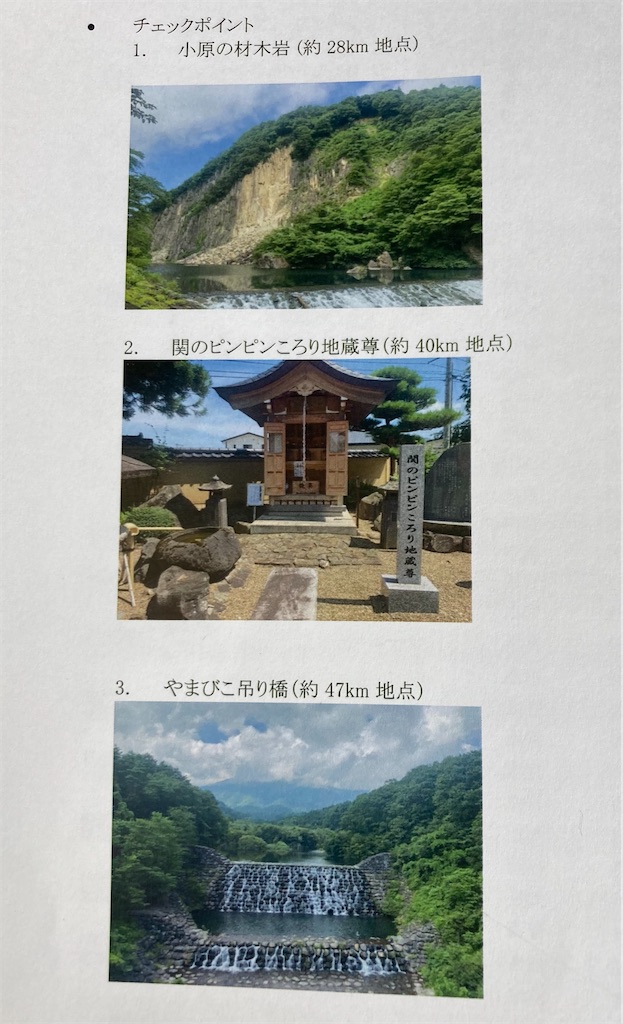 f:id:chobi_chobi:20221105211132j:image