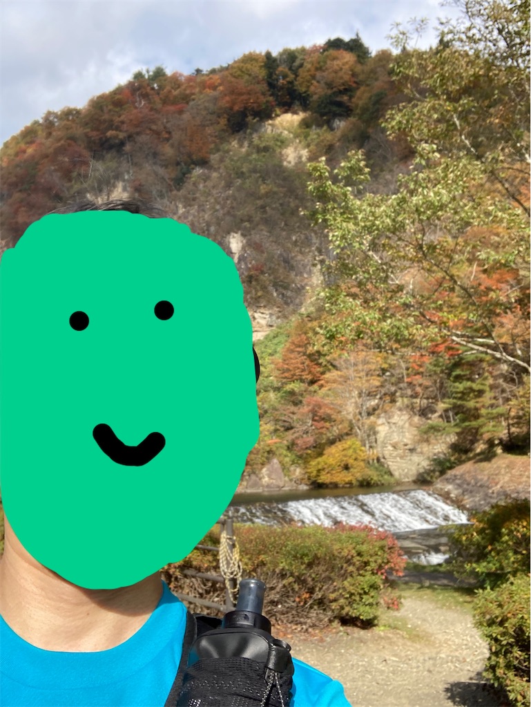 f:id:chobi_chobi:20221106121307j:image